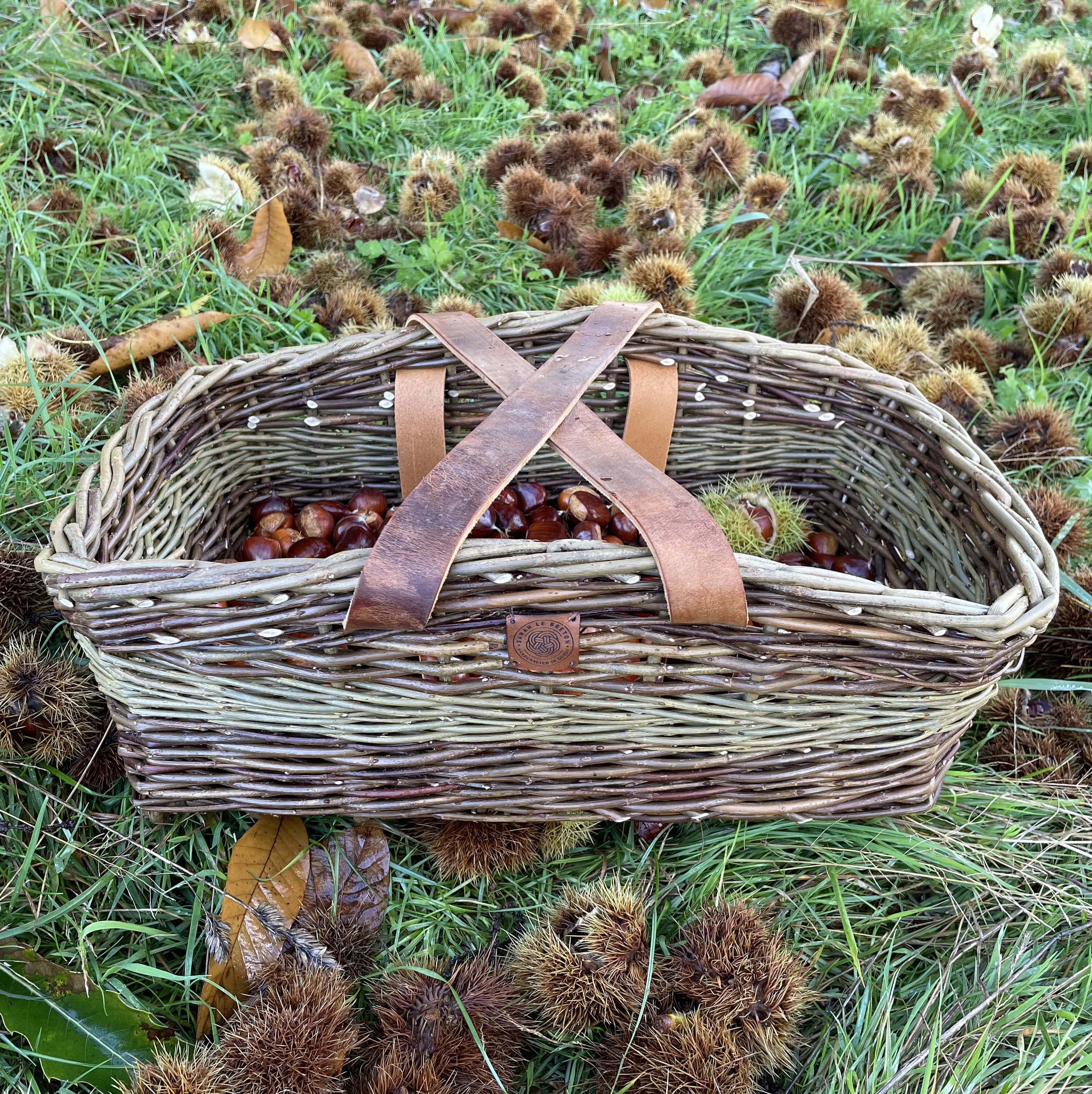 English Garden Basket with Chestnuts-min